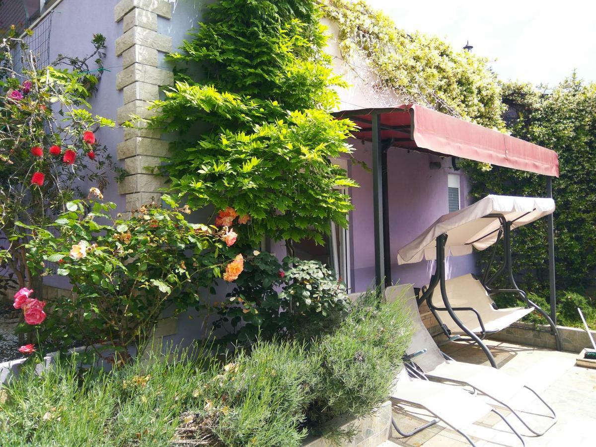 Aparthotel Viola Pjescana Uvala Exterior foto